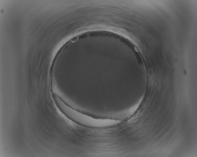 X0000070861527200606231240