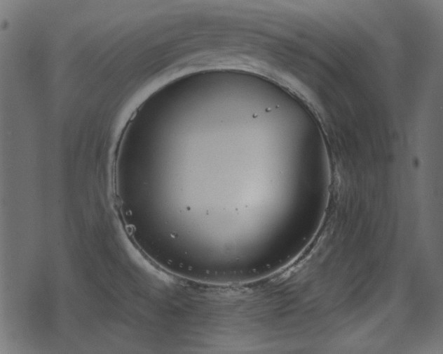 X0000070861528200606231240