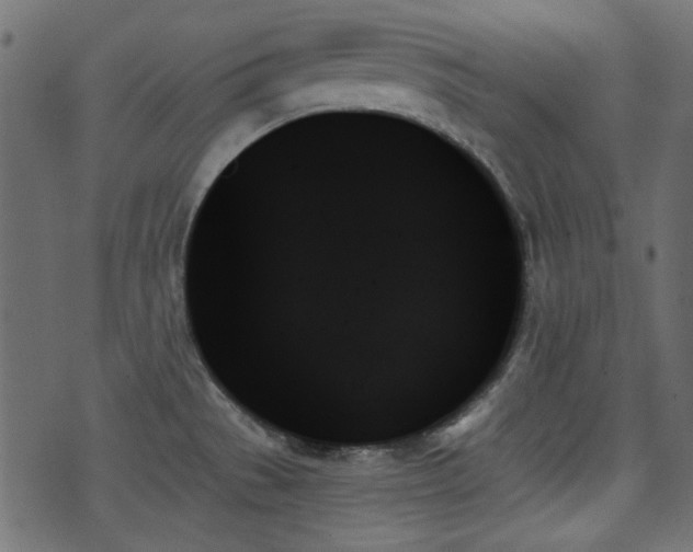 X0000070861529200606231240