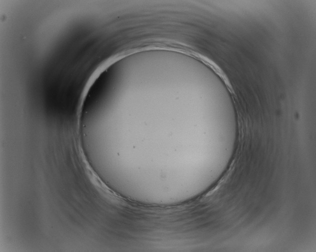 X0000070861530200606231240