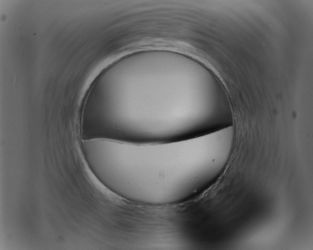 X0000070861531200606231240