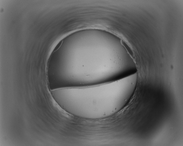 X0000070861532200606231240