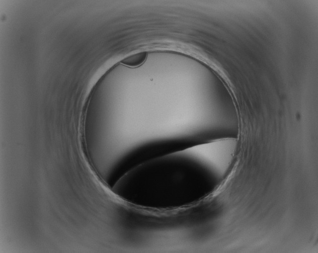 X0000070861533200606231240