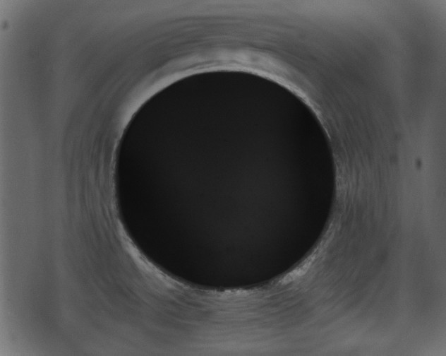 X0000070861534200606231240