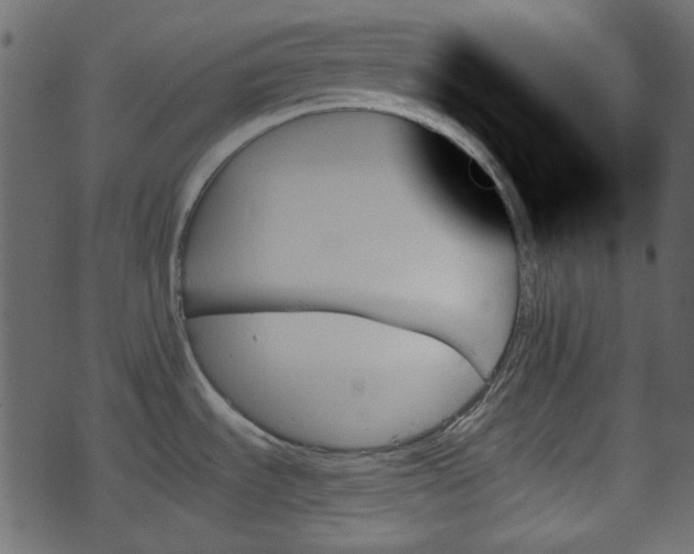 X0000070861535200606231240