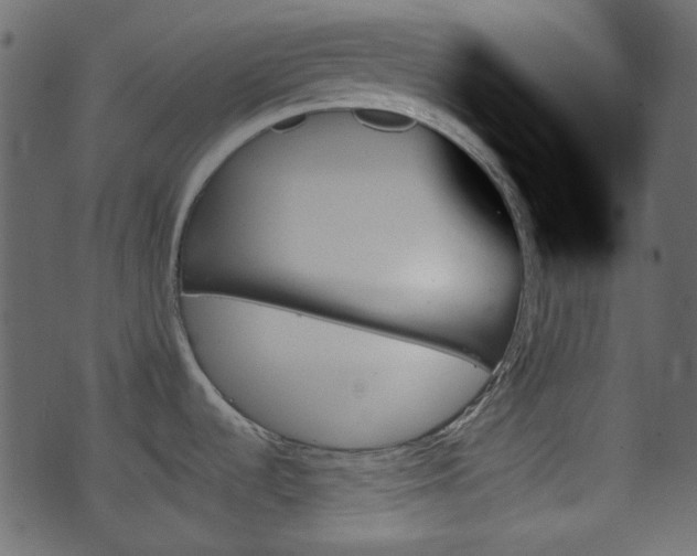 X0000070861536200606231240