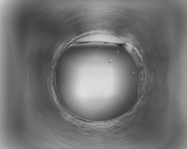 X0000070860001200606302058