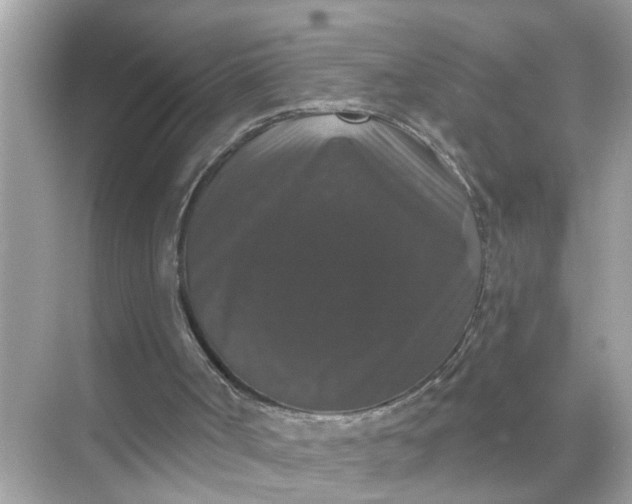 X0000070860002200606302058