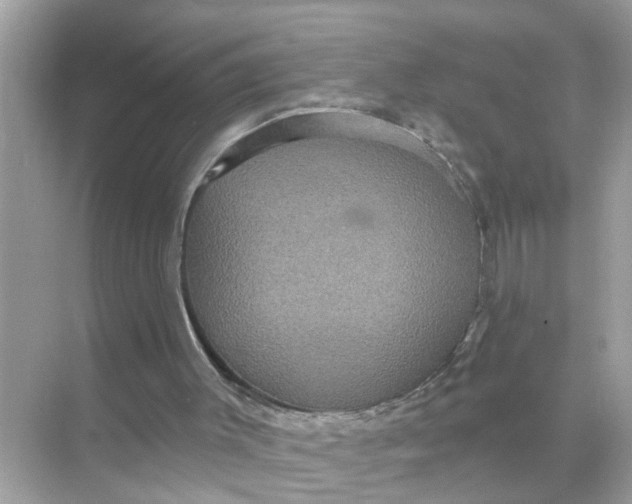 X0000070860003200606302058