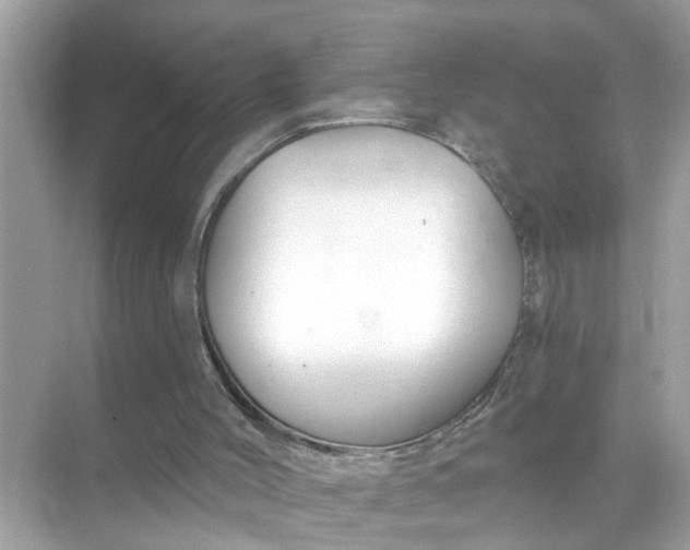 X0000070860004200606302058