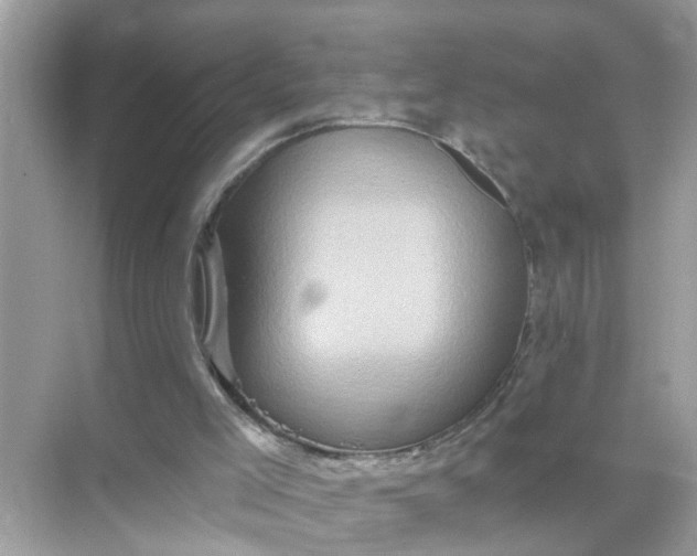 X0000070860005200606302058