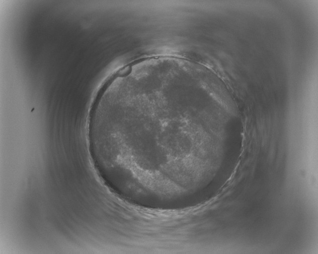 X0000070860006200606302058