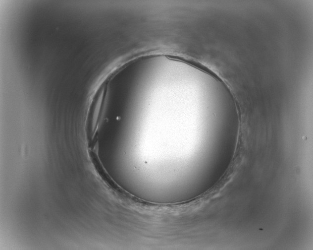 X0000070860007200606302058