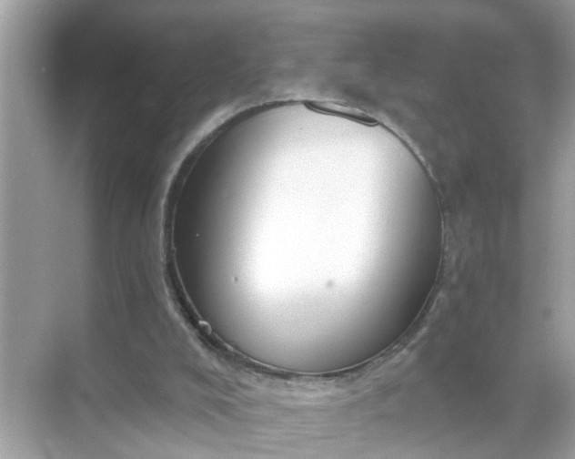 X0000070860008200606302058