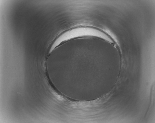 X0000070860009200606302058