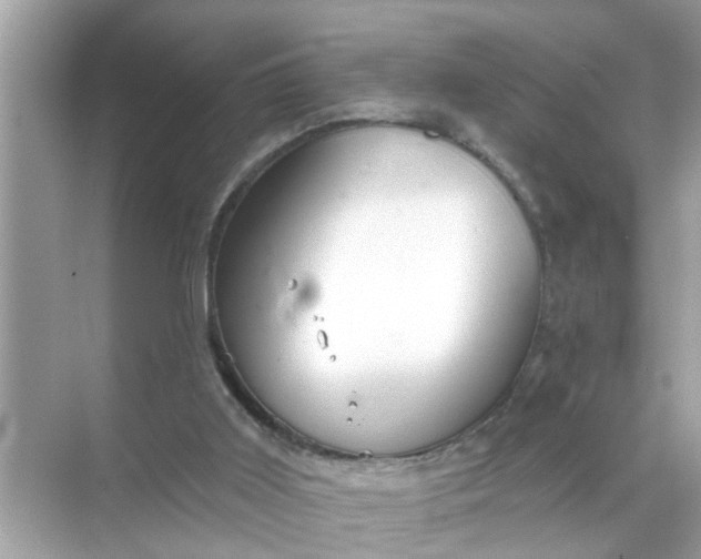 X0000070860011200606302057