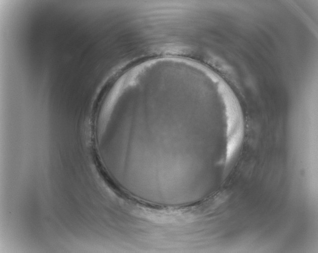 X0000070860012200606302057