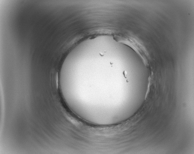 X0000070860013200606302057