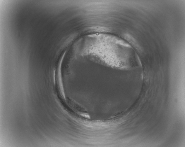 X0000070860014200606302057