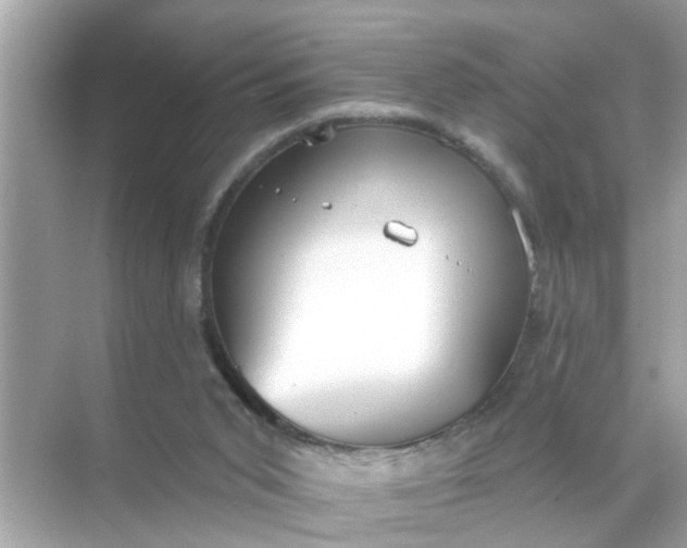 X0000070860015200606302057