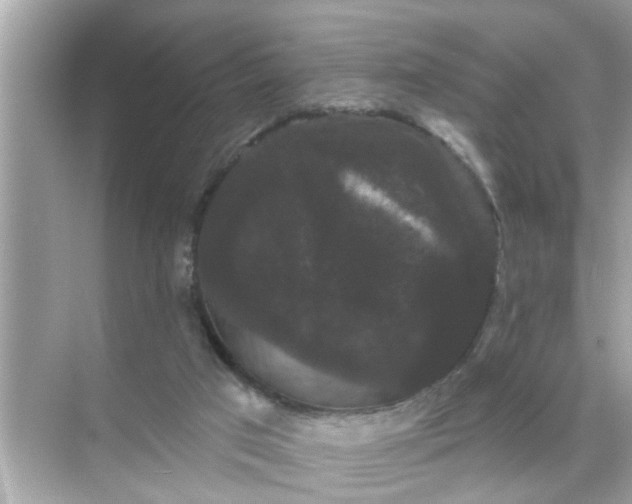 X0000070860017200606302057