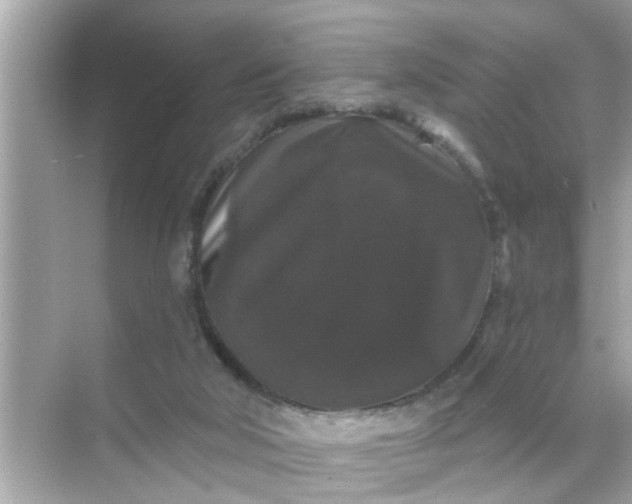 X0000070860018200606302057