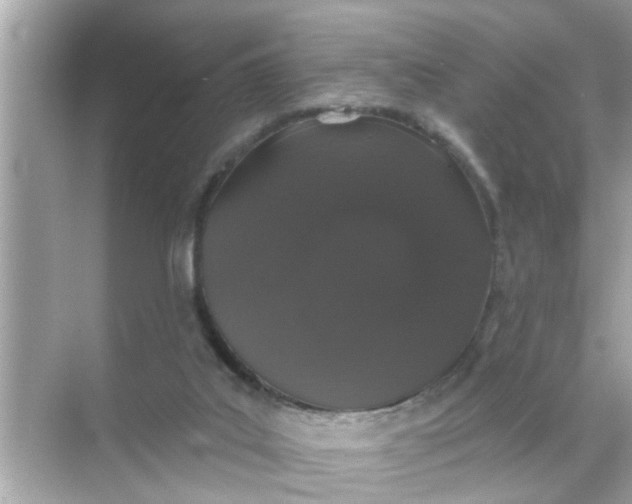 X0000070860019200606302057