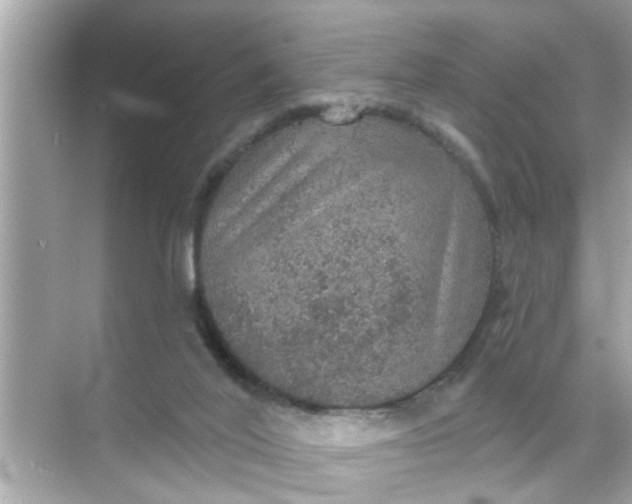 X0000070860020200606302057