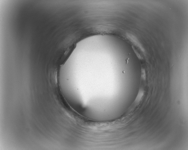 X0000070860021200606302057