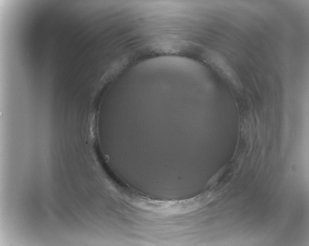 X0000070860023200606302057