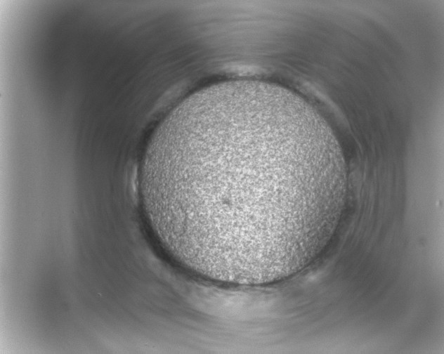 X0000070860024200606302057