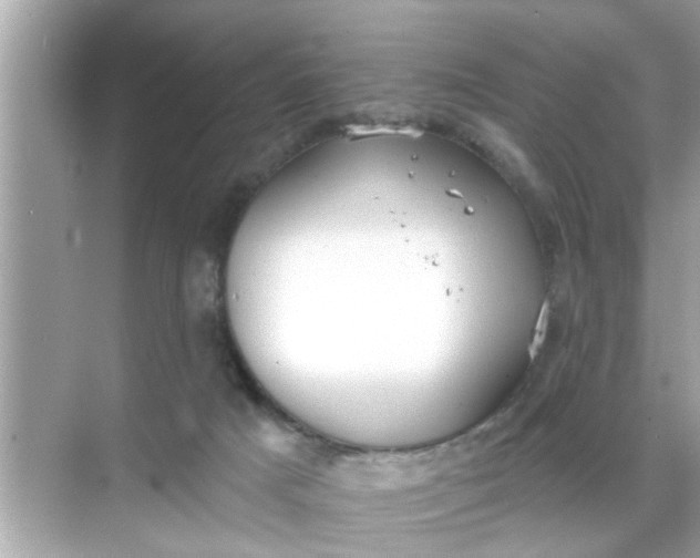 X0000070860025200606302057