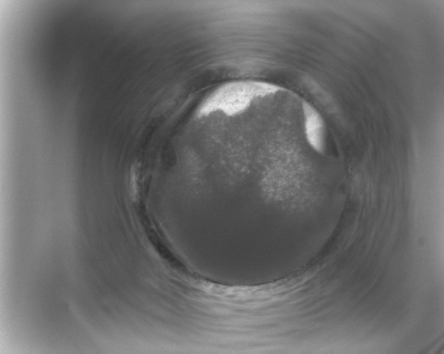 X0000070860026200606302057