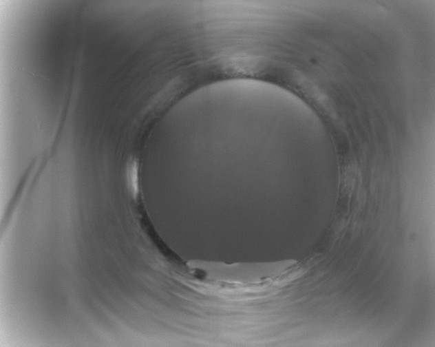 X0000070860027200606302057