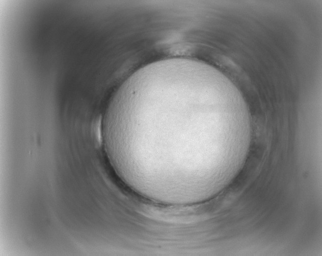 X0000070860028200606302057