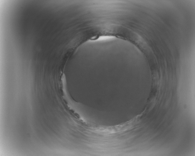 X0000070860029200606302057