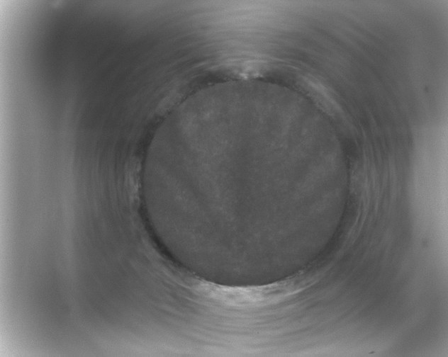 X0000070860030200606302057