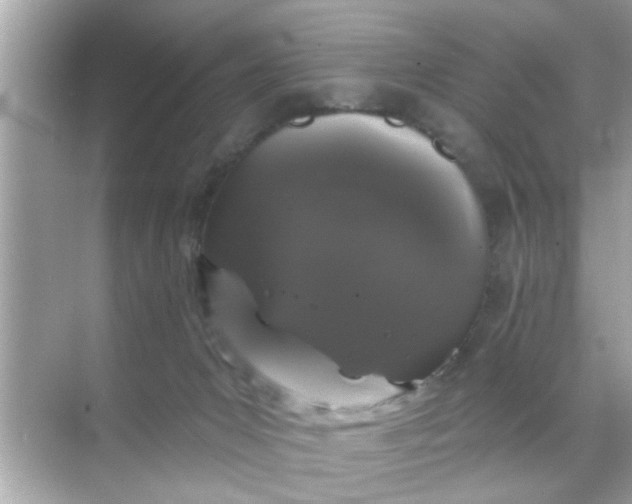 X0000070860031200606302057