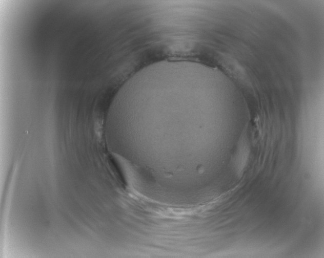 X0000070860033200606302057