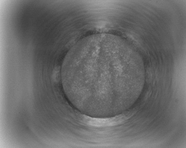 X0000070860034200606302057