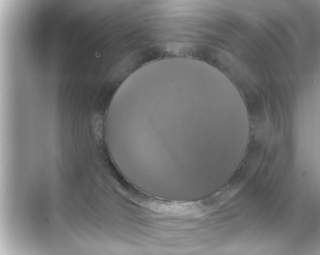 X0000070860036200606302057