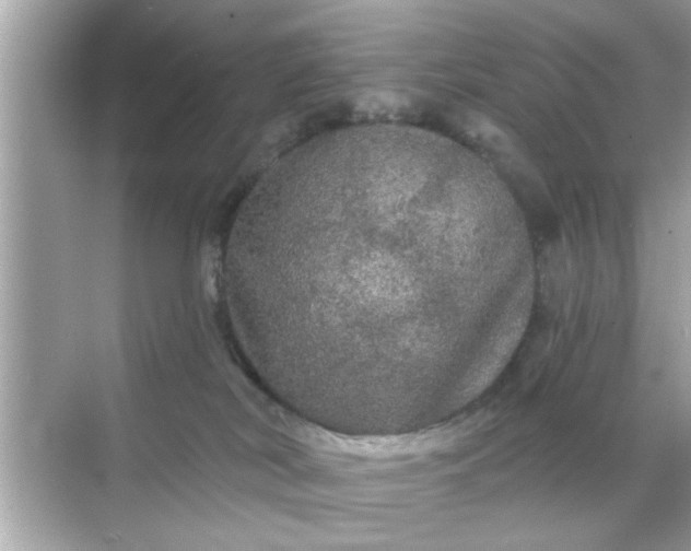 X0000070860038200606302057