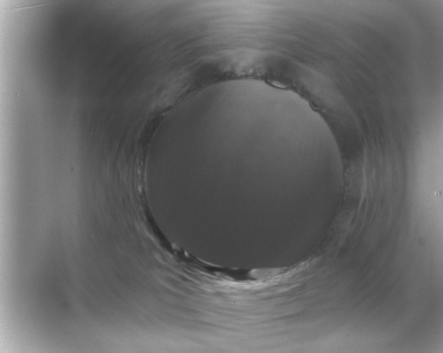 X0000070860039200606302057