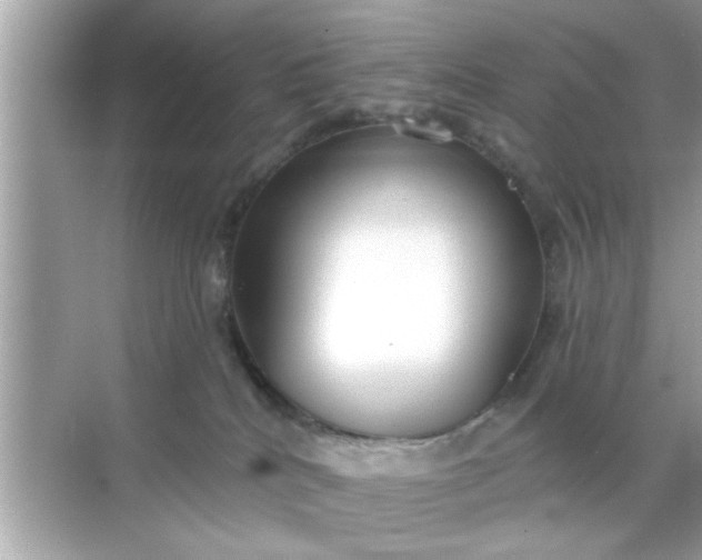 X0000070860040200606302057