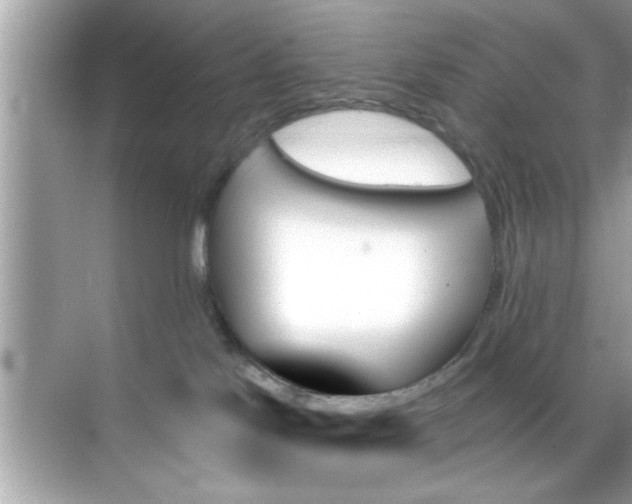 X0000070860041200606302057