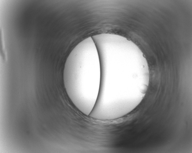 X0000070860042200606302057