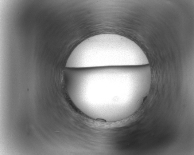 X0000070860043200606302057