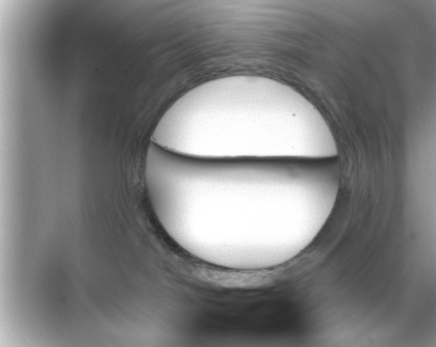 X0000070860044200606302057