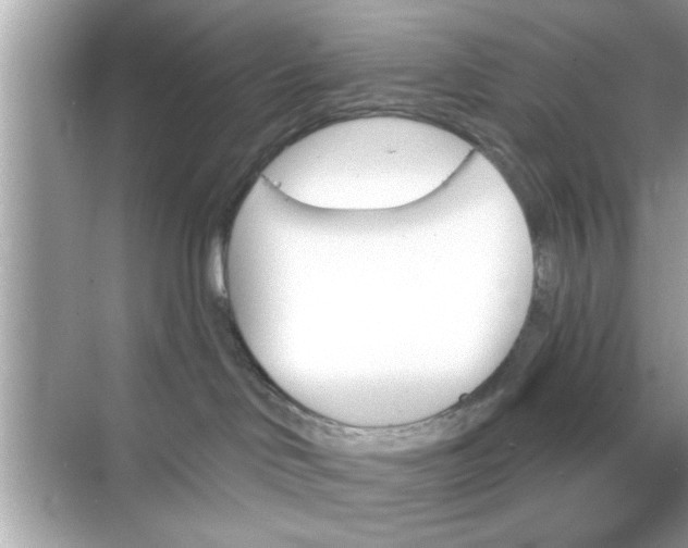 X0000070860046200606302057