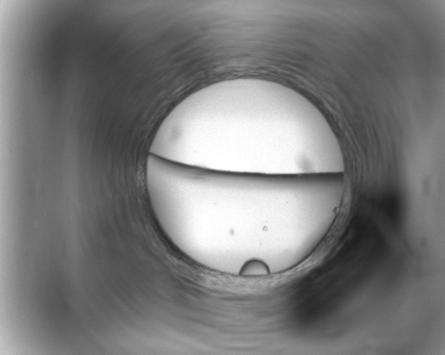 X0000070860048200606302057